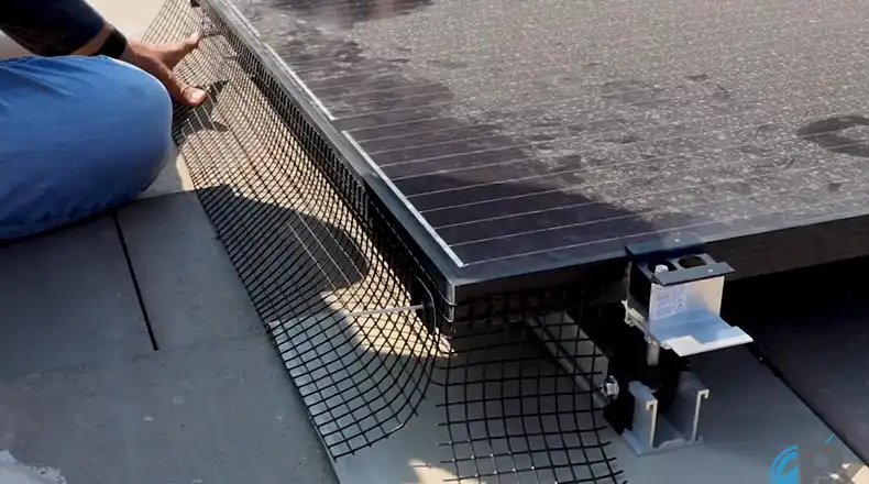 Proven Ways to Pigeon Proof Solar Panels