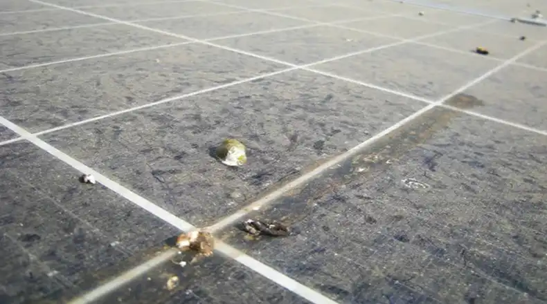 Solar Panel Energy Loss Due to Dust