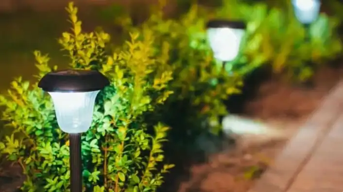 Choosing the Right Solar Path Lights